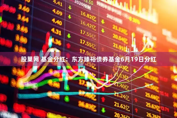 股巢网 基金分红：东方臻裕债券基金6月19日分红