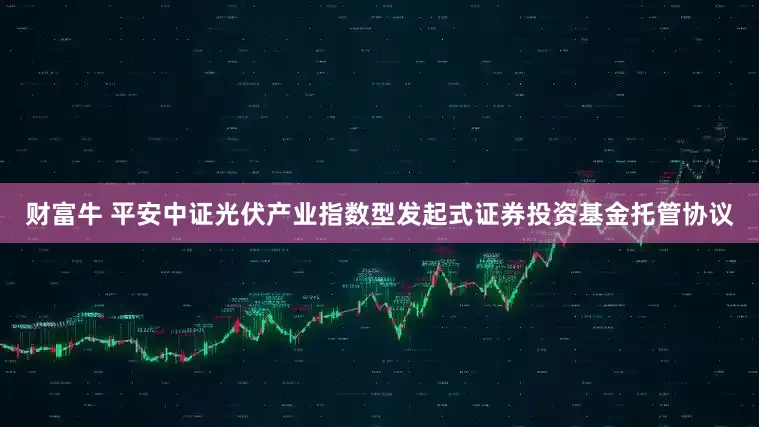 财富牛 平安中证光伏产业指数型发起式证券投资基金托管协议