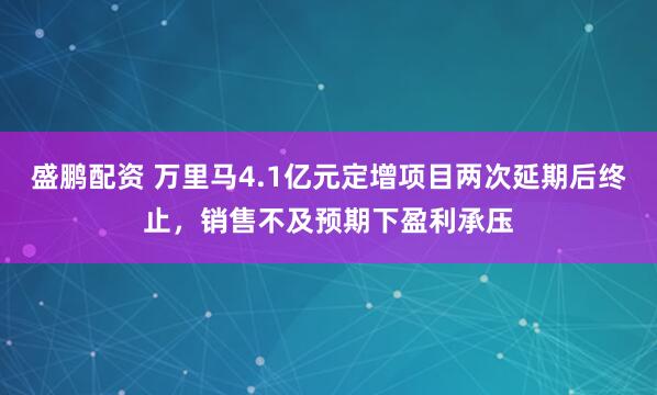 盛鹏配资 万里马4.1亿元定增项目两次延期后终止，销售不及预期下盈利承压