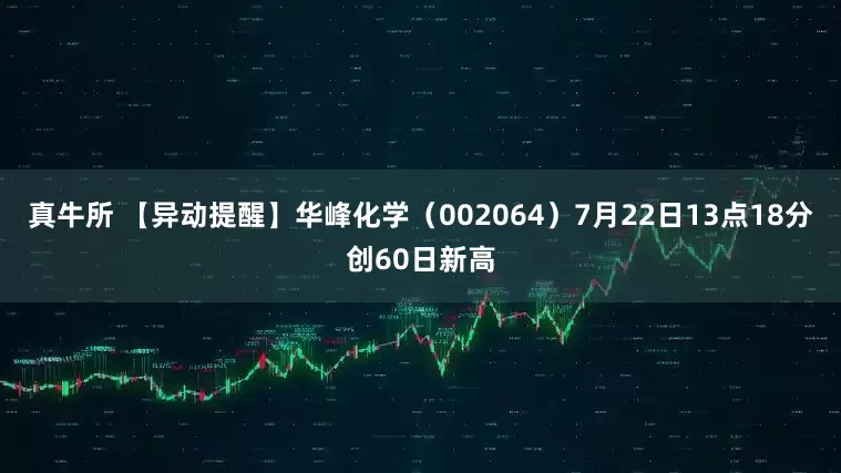 真牛所 【异动提醒】华峰化学（002064）7月22日13点18分创60日新高