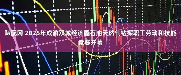 赚配网 2025年成渝双城经济圈石油天然气钻探职工劳动和技能竞赛开幕