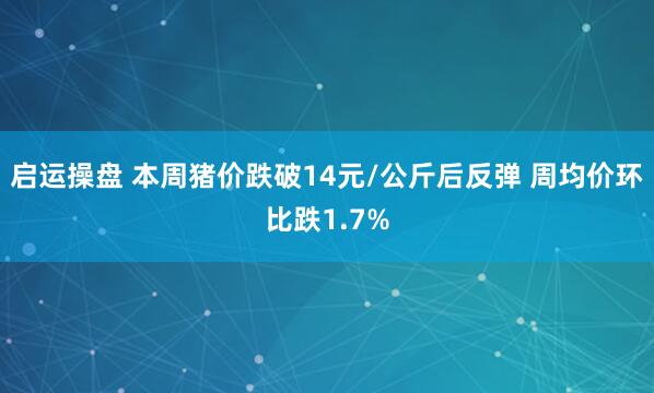 启运操盘 本周猪价跌破14元/公斤后反弹 周均价环比跌1.7%