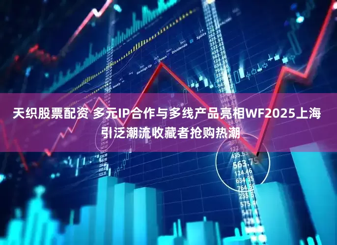 天织股票配资 多元IP合作与多线产品亮相WF2025上海  引泛潮流收藏者抢购热潮
