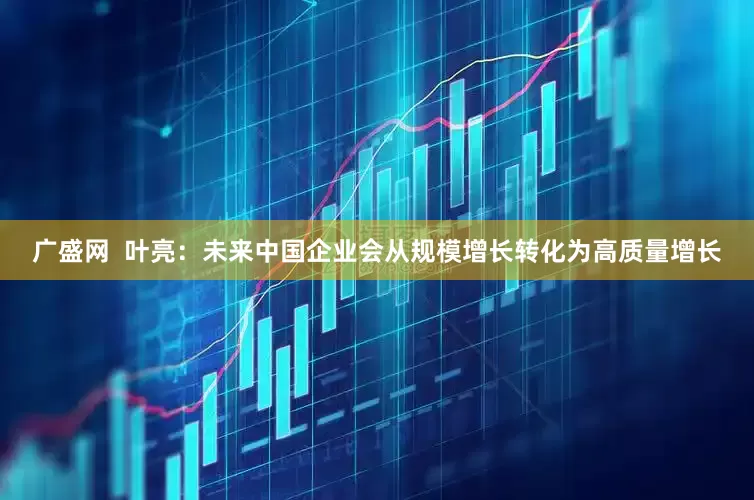 广盛网  叶亮：未来中国企业会从规模增长转化为高质量增长