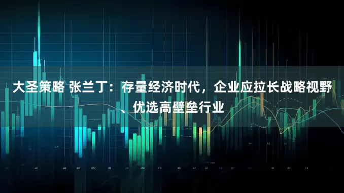 大圣策略 张兰丁：存量经济时代，企业应拉长战略视野、优选高壁垒行业
